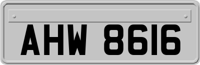 AHW8616