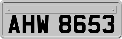 AHW8653