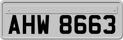 AHW8663