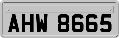 AHW8665