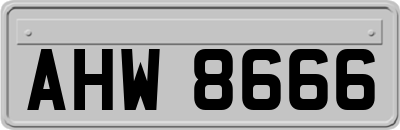 AHW8666