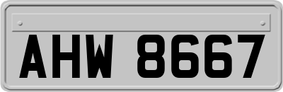 AHW8667