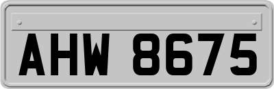 AHW8675
