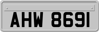 AHW8691