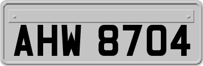 AHW8704