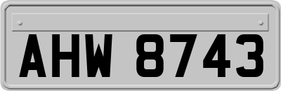 AHW8743