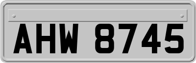 AHW8745