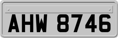 AHW8746
