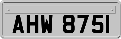 AHW8751