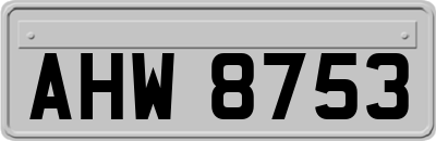 AHW8753