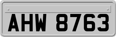 AHW8763