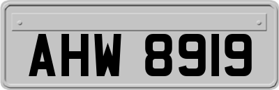 AHW8919