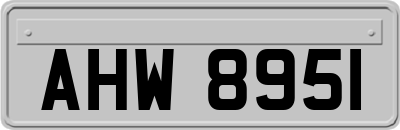 AHW8951