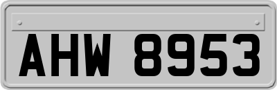 AHW8953