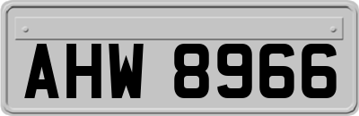 AHW8966