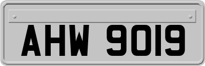 AHW9019