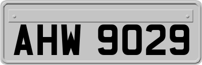 AHW9029