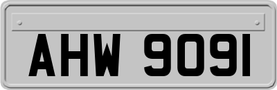 AHW9091