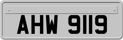AHW9119