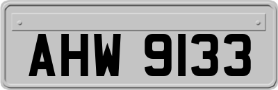 AHW9133