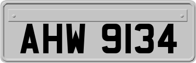 AHW9134