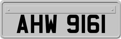 AHW9161