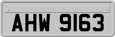 AHW9163
