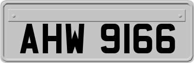 AHW9166