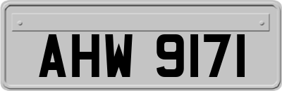 AHW9171