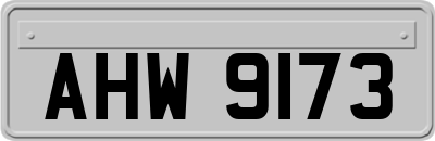 AHW9173