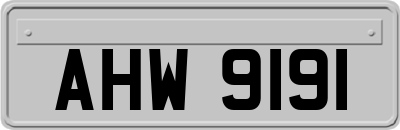 AHW9191