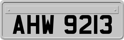 AHW9213