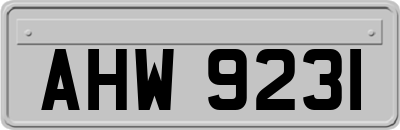 AHW9231