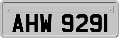 AHW9291
