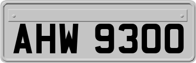 AHW9300