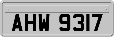AHW9317