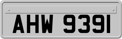 AHW9391