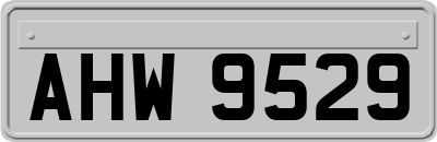 AHW9529