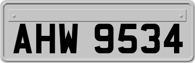AHW9534