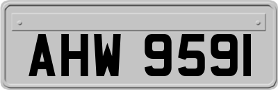 AHW9591