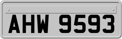 AHW9593