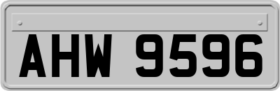 AHW9596