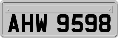 AHW9598