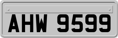 AHW9599