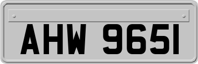 AHW9651