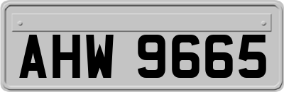 AHW9665