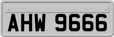 AHW9666