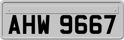 AHW9667