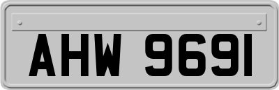 AHW9691