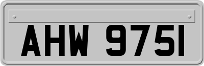 AHW9751